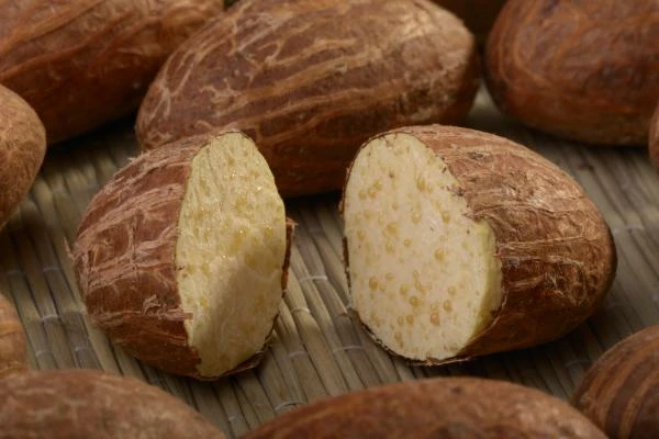 Which Country Produces the Most Kola Nuts in the World?